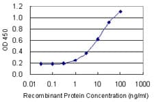 RLF Antibody (clone 2G2)