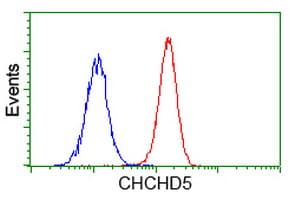 CHCHD5 Antibody (clone OTI9E11)