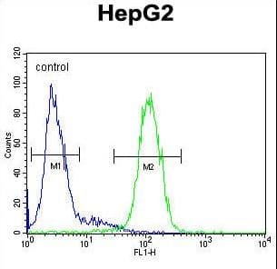 Polyclonal Rabbit anti-Human S100Z Antibody (aa1-30, WB)