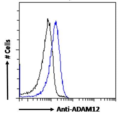 IHC-plus™ ADAM12 Antibody (aa2-14)