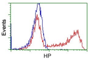 HP / Haptoglobin Antibody (clone OTI2B9)