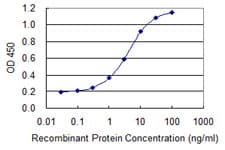 Monoclonal Mouse anti-Human ATF4 Antibody (clone 2B3, WB)