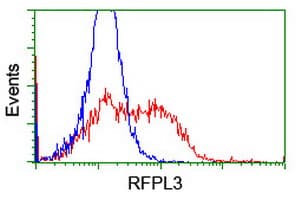 RFPL3 Antibody (clone OTI2A6, Carrier-free)