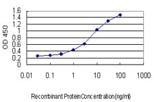 Monoclonal Mouse anti-Human ACLP / AEBP1 Antibody (clone 1D2, IHC, WB)