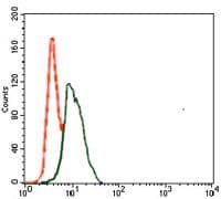 Monoclonal Mouse anti-Human SPI1 / PU.1 Antibody (clone 5C7, Amino Acid: 124-271, WB)