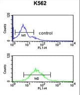 DENND1A Antibody (aa576-605)