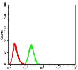 PRDM14 Antibody (clone 4C8B6)