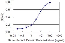 ZNF281 / Zfp281 Antibody (clone 1C9)