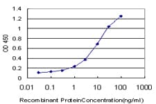 ELF1 Antibody (clone 3B7)