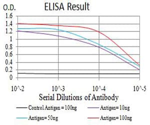 PRKAG3 / AMPK Gamma 3 Antibody (clone 2C7A7)