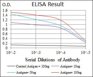 TWF1 / PTK9 Antibody (clone 7C11)