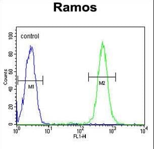 EMC10 Antibody (aa19-48)