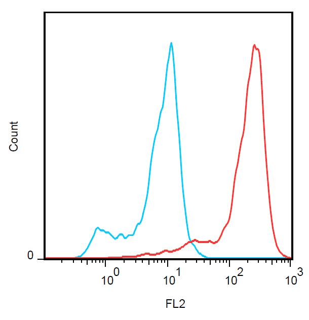 Monoclonal Mouse anti-Human FBP / FOLR2 Antibody (clone EM-35, PE, WB)