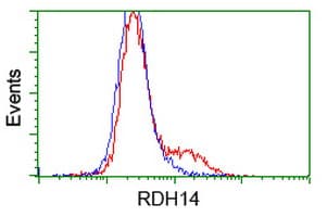 RDH14 Antibody (clone OTI3E1)