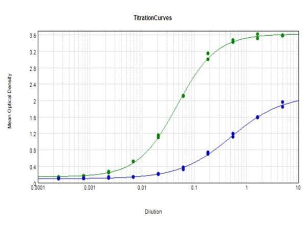 APP / Beta Amyloid Precursor Antibody (C-Terminus)