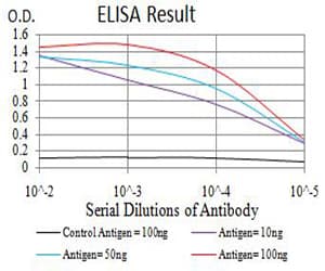 Monoclonal Mouse anti-Human AEBP2 Antibody (clone 3E3C10, IHC, WB)