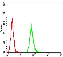 ANAPC11 / APC11 Antibody (clone 6F1H6)