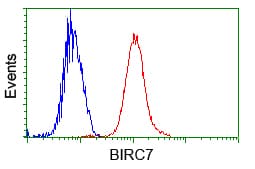 Monoclonal Mouse anti-Human BIRC7 / Livin Antibody (clone OTI1B10, IF, WB)