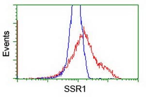 SSR1 Antibody (clone OTI4C7, Carrier-free)