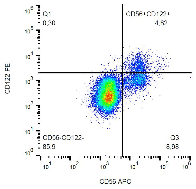 Monoclonal Mouse anti-Human IL2RB / CD122 Antibody (clone TU27, PE)