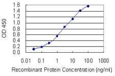 SGTA / SGT Antibody (clone 2E11)