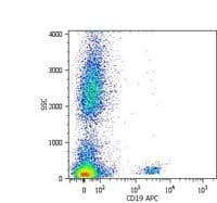 CD19 Antibody (clone LT19, APC)