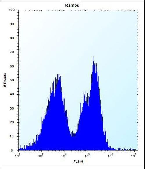 PCDHGA3 Antibody (aa284-311)
