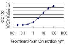 MMP3 Antibody (clone 4C11)