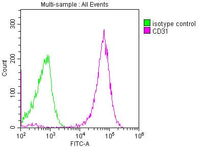 PECAM-1 / CD31 Antibody (clone 9E6E12)
