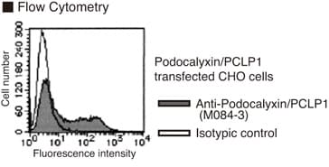 PathPlus™ PODXL / Podocalyxin Antibody (clone 53D11)