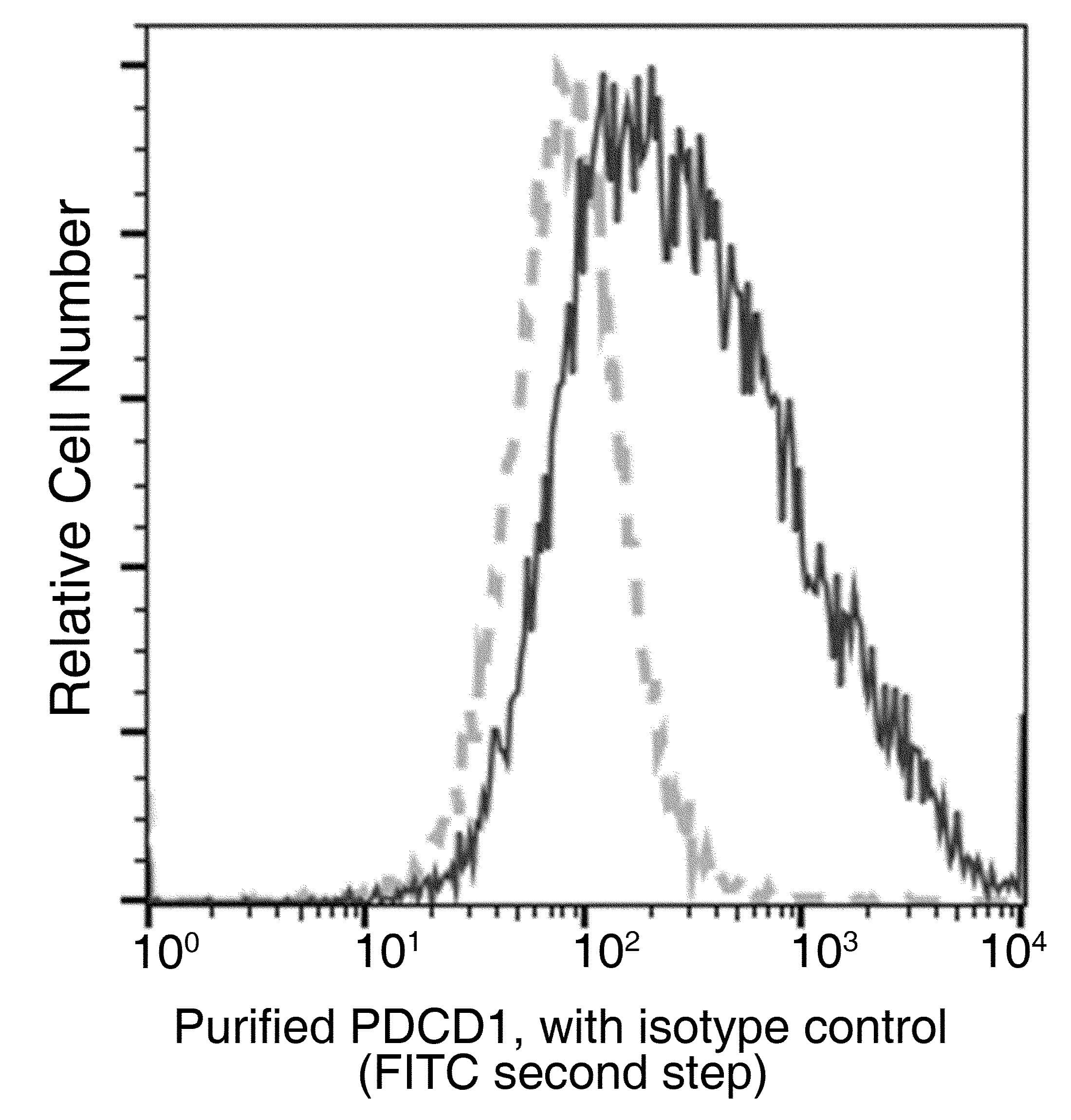 Monoclonal Mouse anti-Monkey-Rhesus PDCD1 / CD279 / PD-1 Antibody (clone 35, Preservative Free)