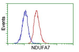 NDUFA7 Antibody (clone OTI2E3)