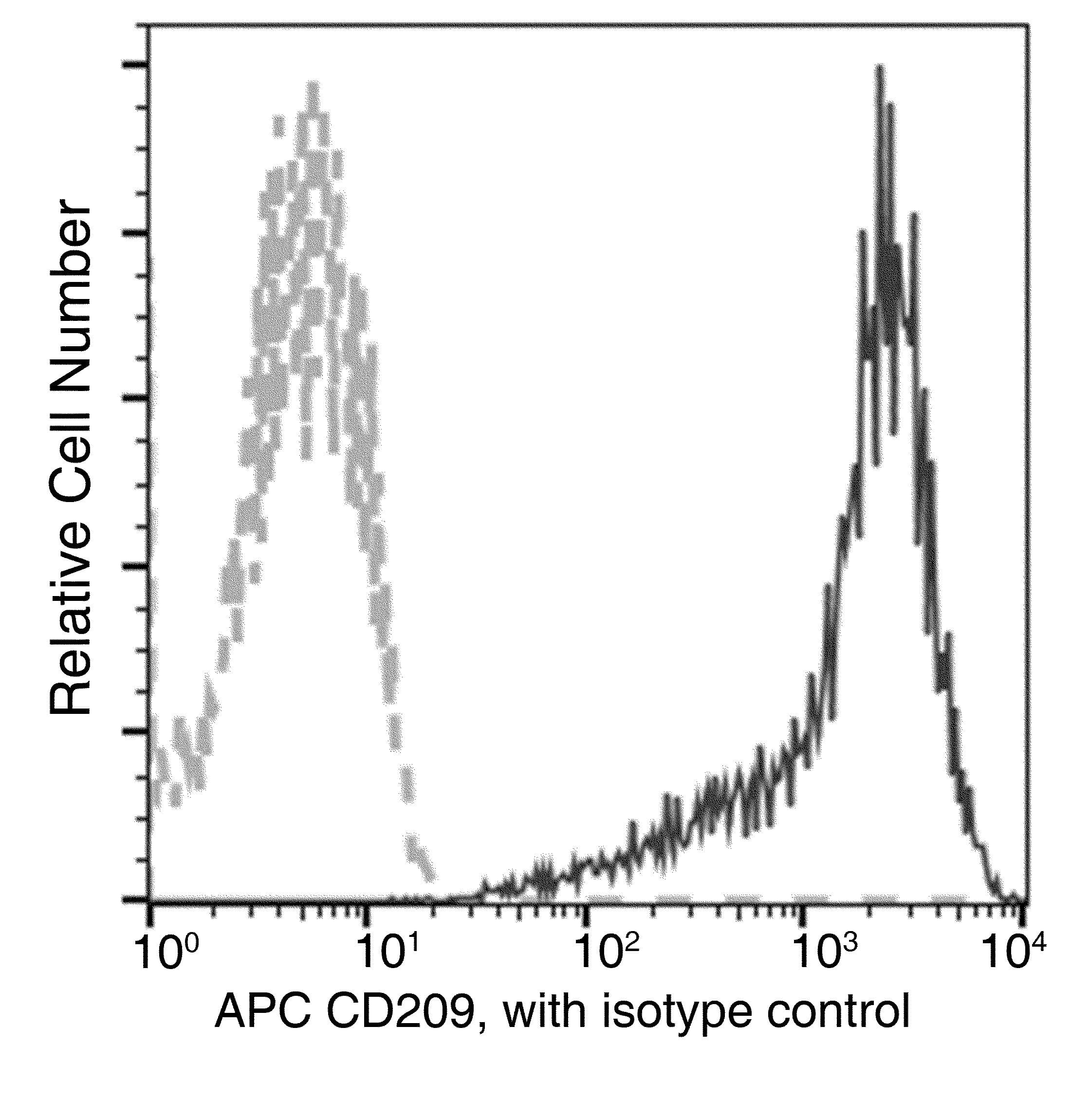 Monoclonal Mouse anti-Human CD209 / DC-SIGN Antibody (clone 01, APC)