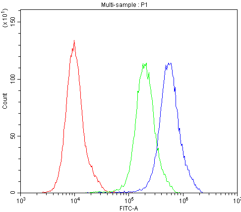 ATG14 Antibody (aa70-101)