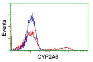 CYP2A6 Antibody (clone OTI3C1)