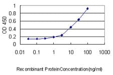 KLRC3 / NKG2E Antibody (clone 3D5)