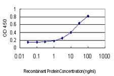 TNFRSF17 / BCMA Antibody (clone 1F10)