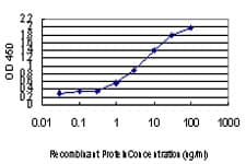 Monoclonal Mouse anti-Human KDM5A / JARID1A Antibody (clone 1H2, WB)