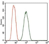 DCTN4 / Dynactin 4 Antibody (Amino Acid: 57-298, clone 3G9D7)