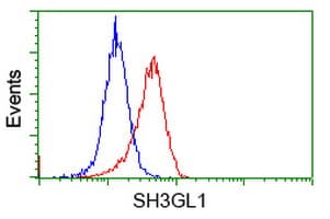 SH3GL1 / EEN Antibody (clone OTI2F5)