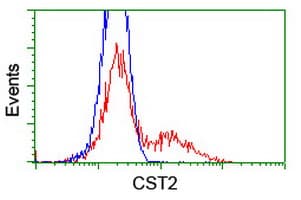 Cystatin SA / CST2 Antibody (clone OTI2D6, Carrier-free)