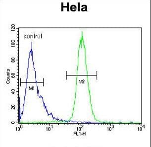 Polyclonal Rabbit anti-Human INTS10 Antibody (aa516-545, WB)