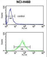 FPR3 / FPRL2 Antibody (aa307-333)