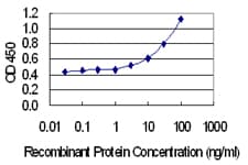 CREBL2 Antibody (clone 1C1)