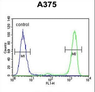 ITPA Antibody (aa24-51)