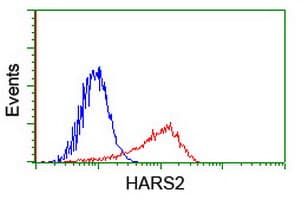 HARS2 Antibody (clone OTI5A9)