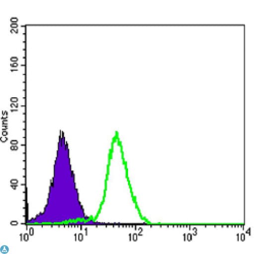 CD276 / B7-H3 Antibody