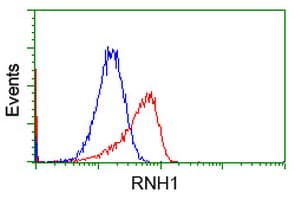 RNH1 Antibody (clone OTI4G4)