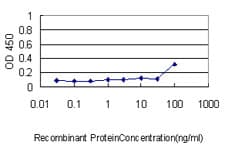 PRDX2 / Peroxiredoxin 2 Antibody (clone 4E10-2D2)