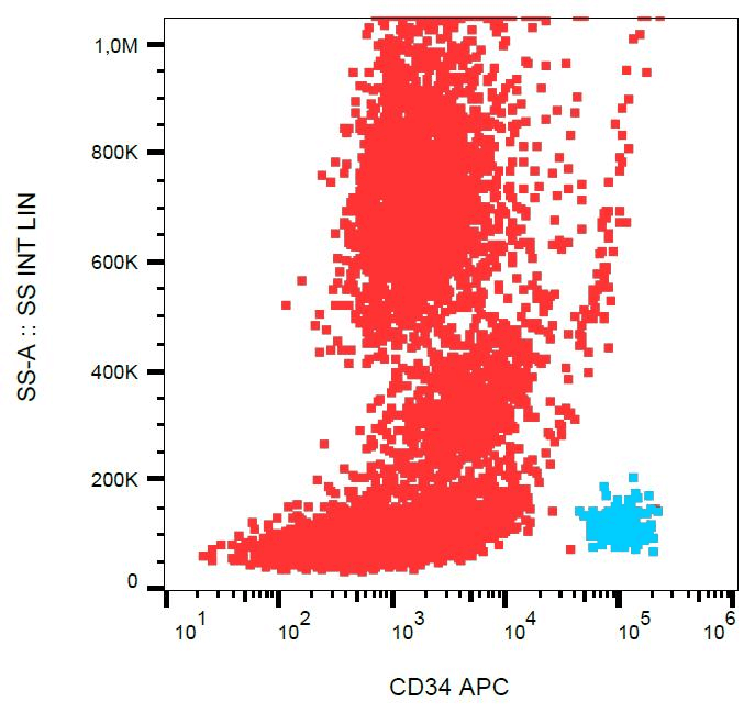 CD34 Antibody (clone 4H11[APG], APC)
